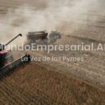 Inversión, infraestructura y créditos: las claves que explican el desarrollo del agro en Brasil y la comparación con la Argentina - TN
