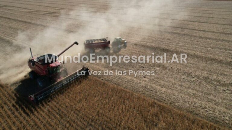 Inversión, infraestructura y créditos: las claves que explican el desarrollo del agro en Brasil y la comparación con la Argentina - TN