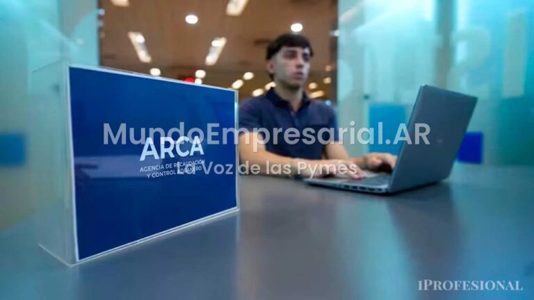 consultora tributaria, Mirian Roldán — Ya ingresó al Senado el proyecto de ley para reducir las multas impositivas