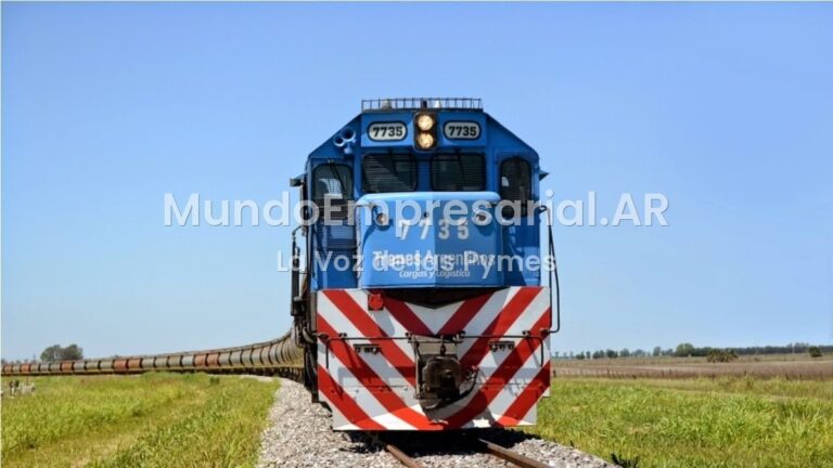 El tren no es el problema, sino quién se queda cuidando la vía