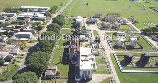 YPF producirá combustibles sustentables para aviones