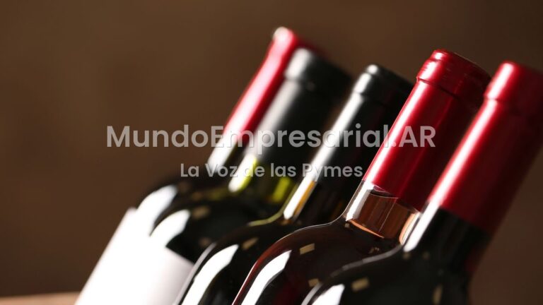 Vinos sin alcohol: el negocio que empieza a crecer en la Argentina y abre un debate entre las bodegas