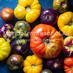Luciano Kunis, productor de tomates: “Priorizo el sabor,no me importa si una planta me da 1 kilo contra 5 de otra que no me gusta tanto”