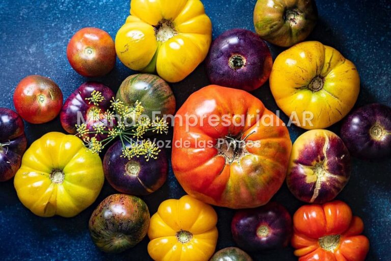 Luciano Kunis, productor de tomates: “Priorizo el sabor,no me importa si una planta me da 1 kilo contra 5 de otra que no me gusta tanto”