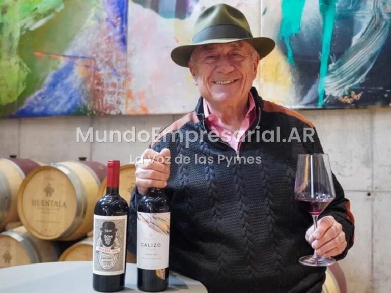 Es empresario argentino, invirtió US$ 15 millones en su bodega y ganó un premio al mejor vino tinto del mundo: "Es un negocio muy lento"