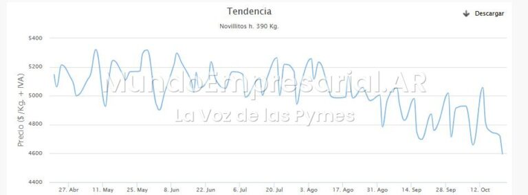 Carne en Cañuelas: el precio cae y alerta a pymes ganaderas