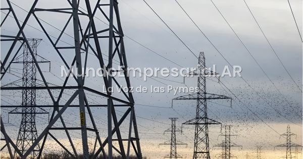El BID aprobó una garantía de USD 200 millones para ampliar la red eléctrica argentina