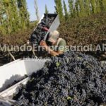 El sector vitivinícola cerró su paritaria: Aún con todos los “chiches”, un viñatero cobrará menos de 1 millón de pesos
