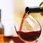 Los 10 mejores vinos argentinos de 2026 según la elección de 80 enólogos