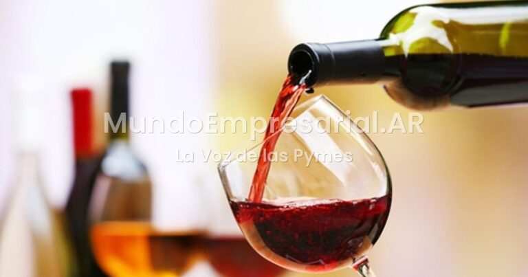 Los 10 mejores vinos argentinos de 2026 según la elección de 80 enólogos