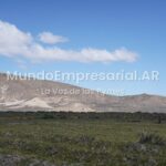 ¿Y ahora? La Corte Suprema restituyó un artículo del DNU de Milei en el que se derogaba la Ley de Tierras: Ya no hay límite para la venta a extranjeros - Bichos de Campo
