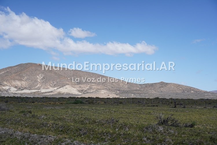 ¿Y ahora? La Corte Suprema restituyó un artículo del DNU de Milei en el que se derogaba la Ley de Tierras: Ya no hay límite para la venta a extranjeros - Bichos de Campo