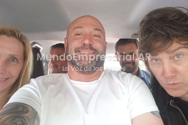 Caso Andis: las empresas investigadas recibieron $192.000 millones y se quedaron con el 40% de los pagos por medicamentos e insumos - La Nación