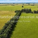 Juzgado en lo Contencioso Administrativo N° 4 de La Plata, Güendalina Sessarego, Defensoría del Pueblo bonaerense, Guido Lorenzino — La Justicia intimó al Gobierno nacional a informar la cantidad de tierras en manos extranjeras en la provincia de Bue