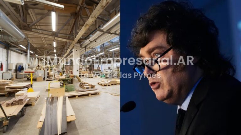 Una fábrica de muebles de Mendoza despidió a casi todos sus trabajadores